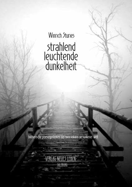Strahlend leuchtende Dunkelheit: Bildnerische Poesiegedanken aus Nico Solianis versunkener Welt Fiction