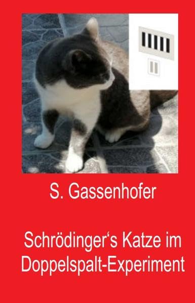 Schrödingers Katze im Doppelspalt-Experiment: Der Plan der Physiker - Covid & Klimawandel Business & Technology