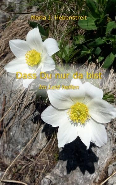 Dass Du nur da bist: Im Leid helfen book