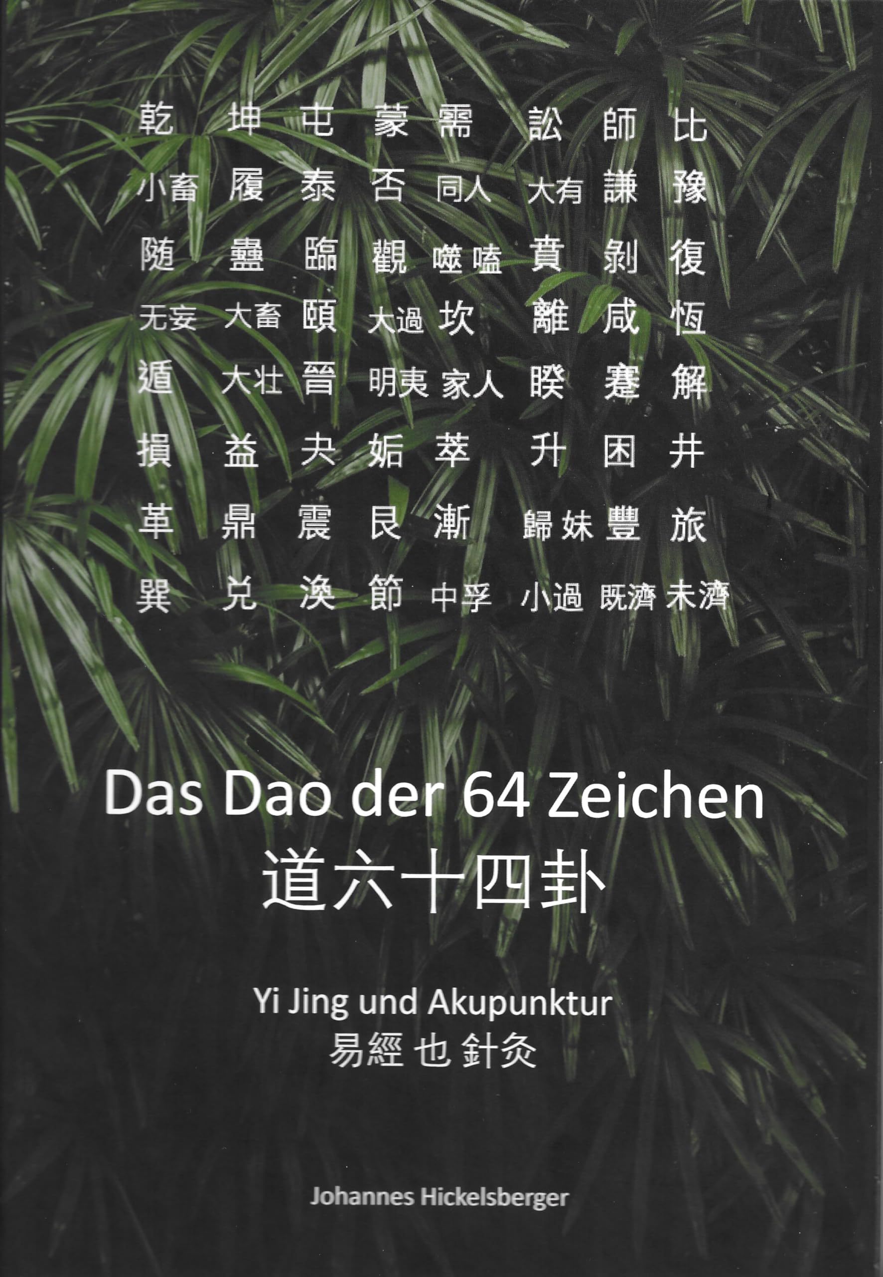 Das Dao der 64 Zeichen Medicine