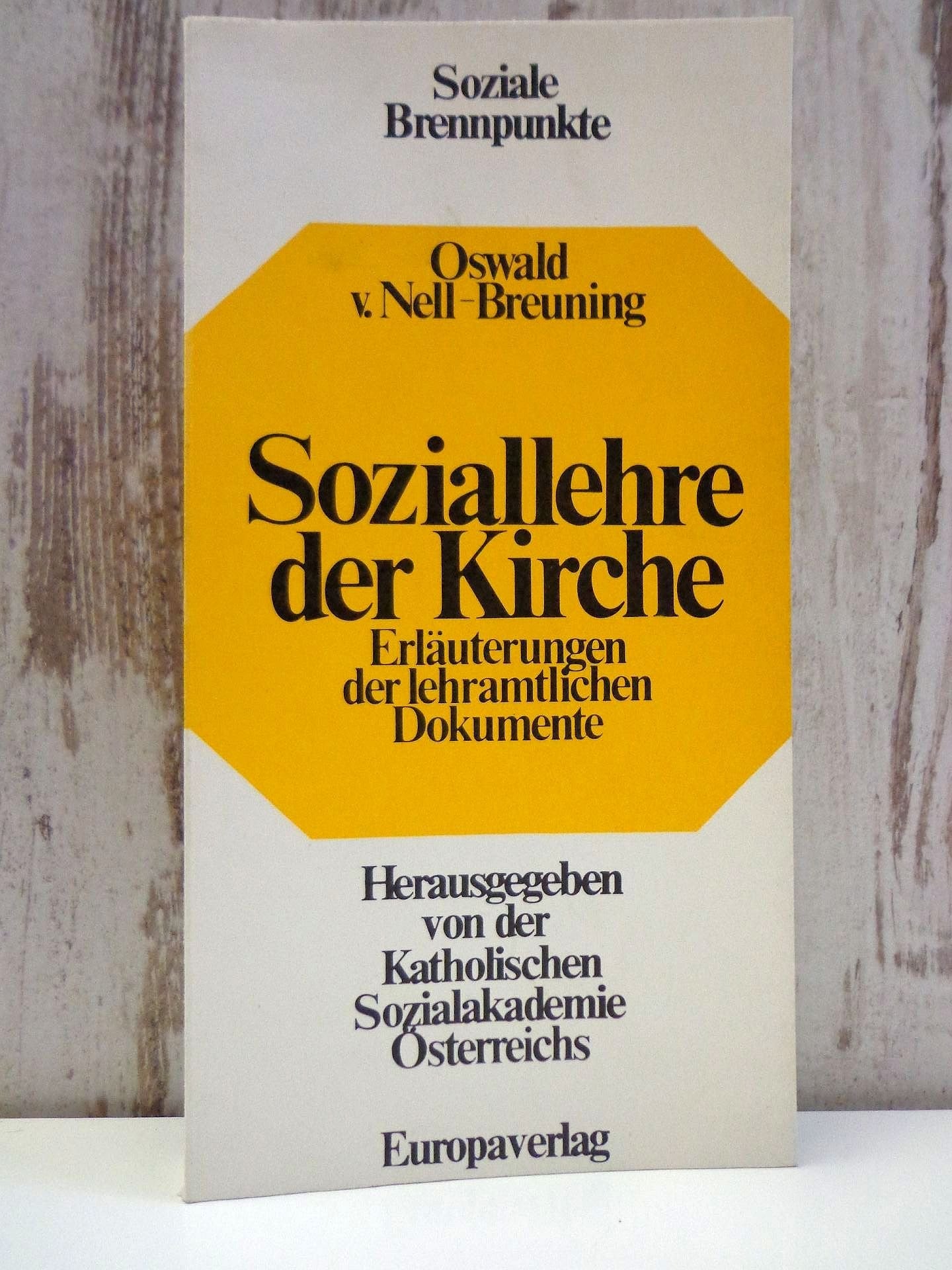 Soziallehre Der Kirche: Erleauterungen Der Lehramtlichen Dokumente book