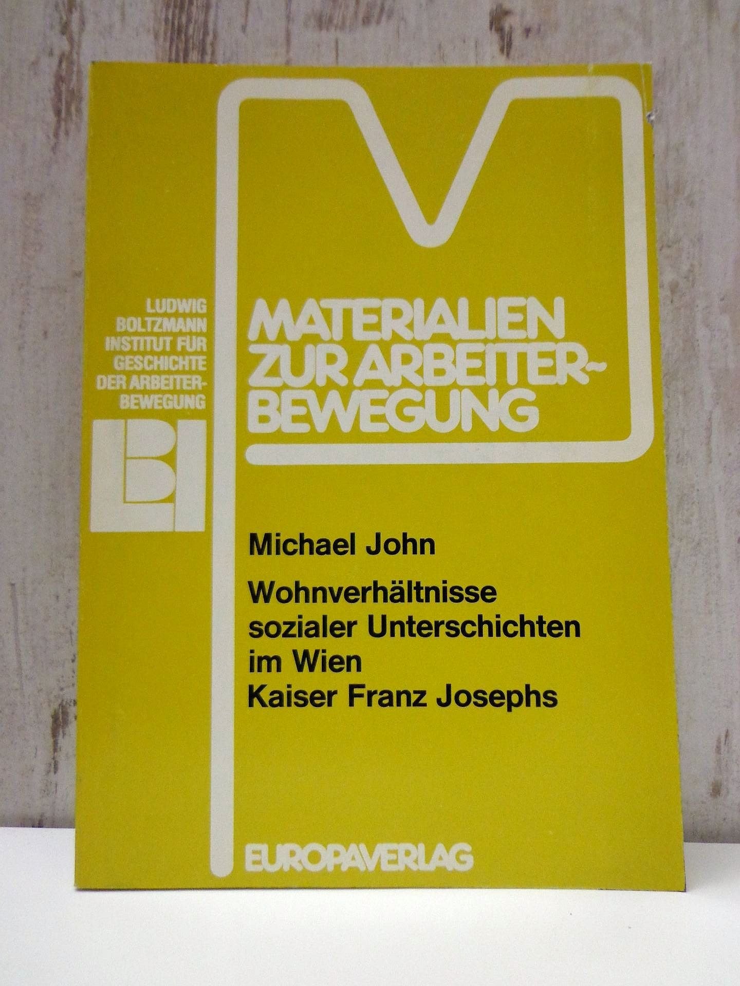 Wohnverhältnisse sozialer Unterschichten im Wien Kaiser Franz Josephs Books