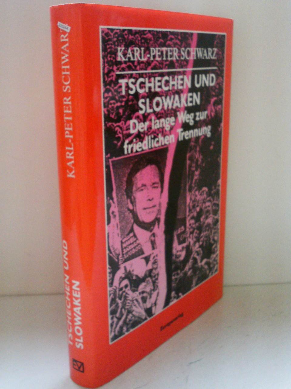 Tschechen und Slowaken Politics & History books