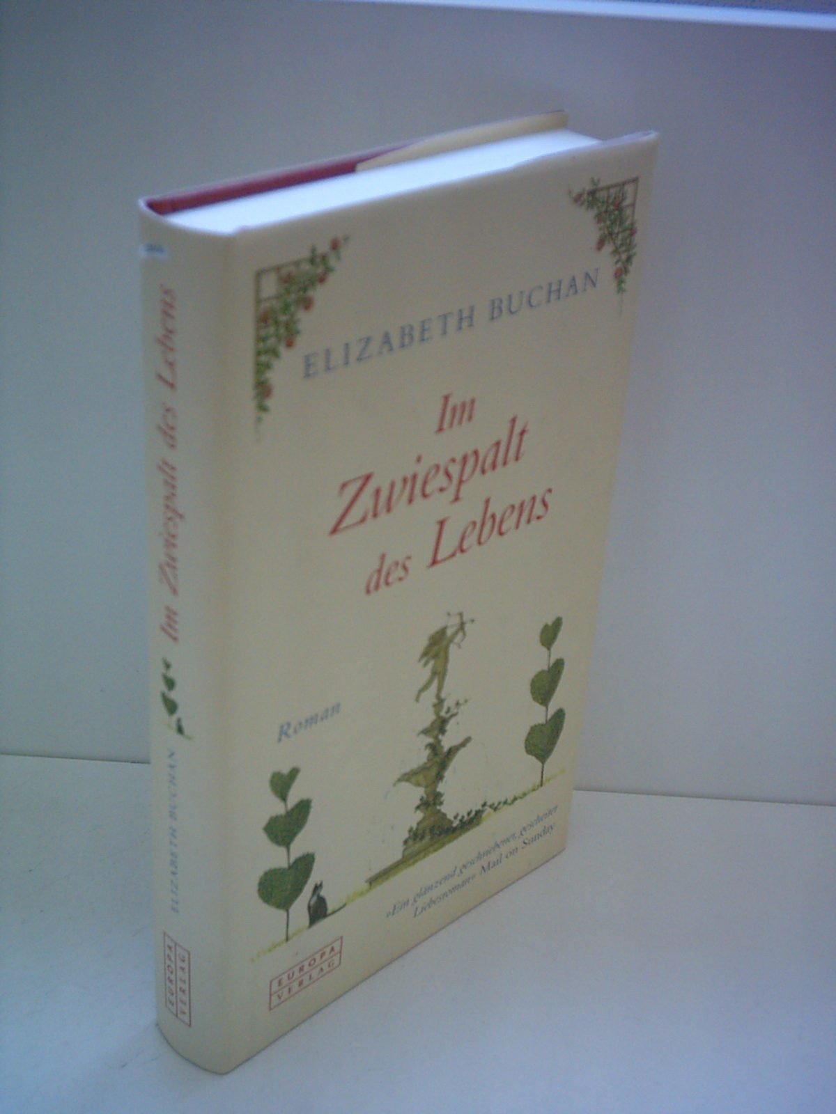 Im Zwiespalt des Lebens. Roman Books