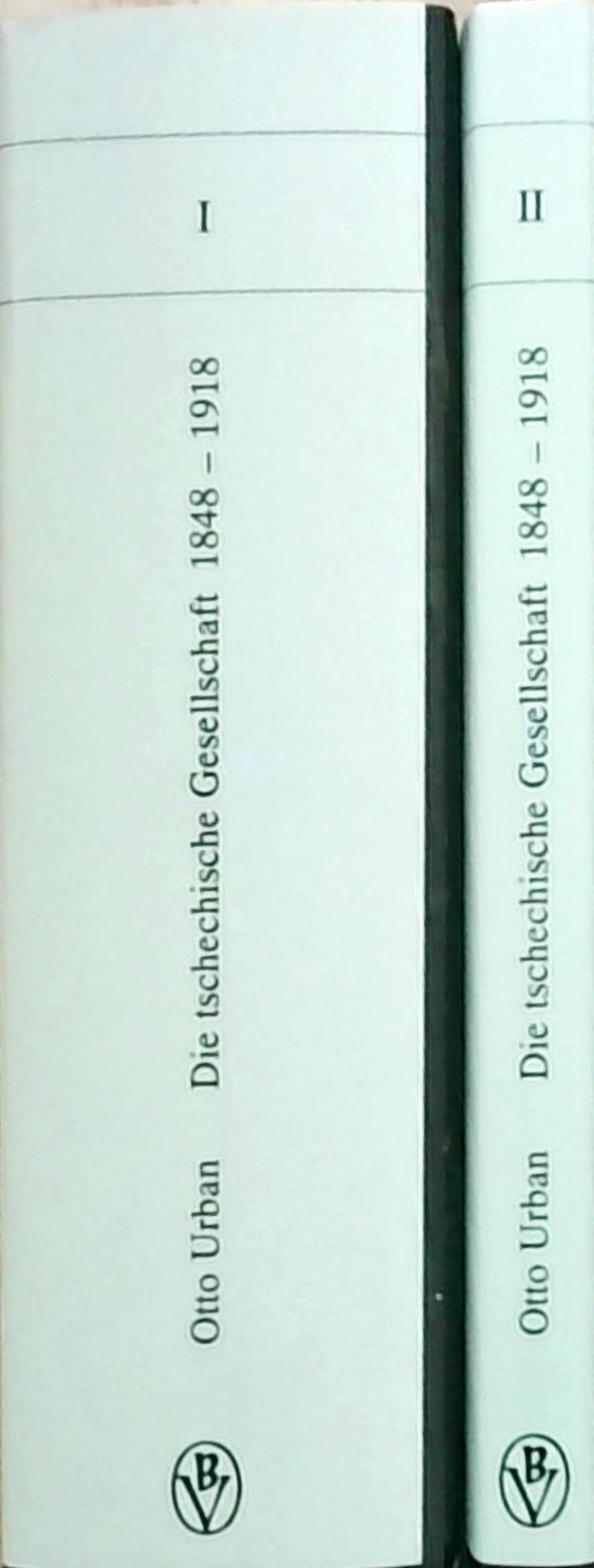 Die tschechische Gesellschaft: 1848 bis 1918 (Anton Gindely-Reihe zur Geschichte der Donaumonarchie und Mitteleuropas) German history