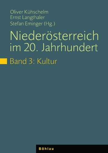 Niederösterreich im 20. Jahrhundert: Politik /Wirtschaft /Kultur / Band 3: Kultur Business, Finance & Career