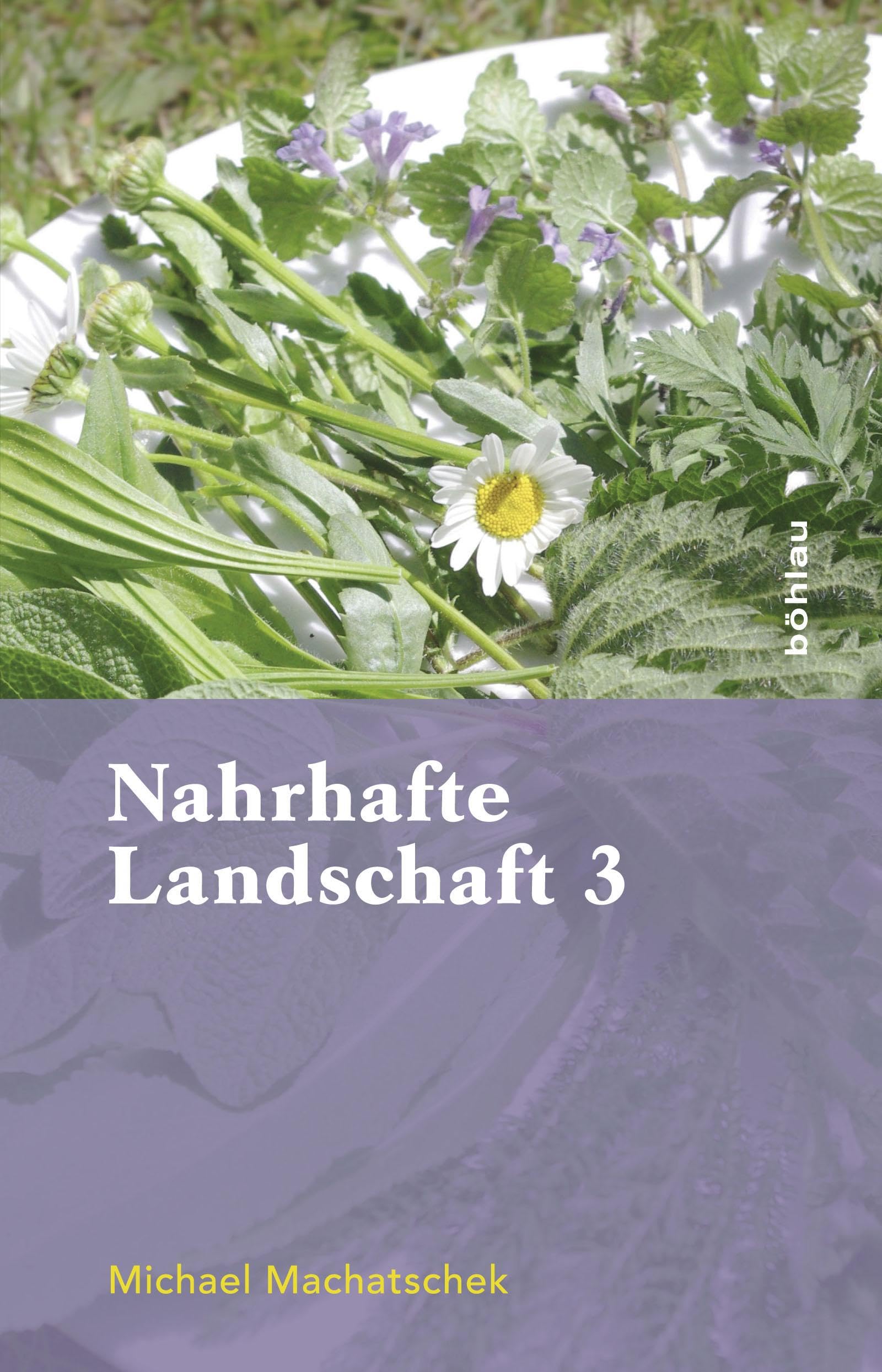 Nahrhafte Landschaft 3 Medicine Books