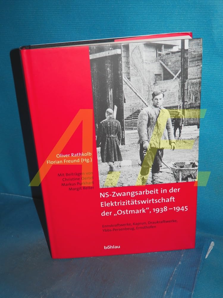 NS-Zwangsarbeit in der Elektrizitätswirtschaft der »Ostmark«, 1938-1945: Ennskraftwerke - Kaprun - Draukraftwerke - Ybbs-Persenbeug - Ernsthofen Business, Finance & Career