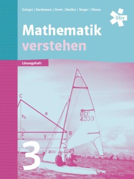 Mathematik verstehen 3, Lösungen Learning & Reference