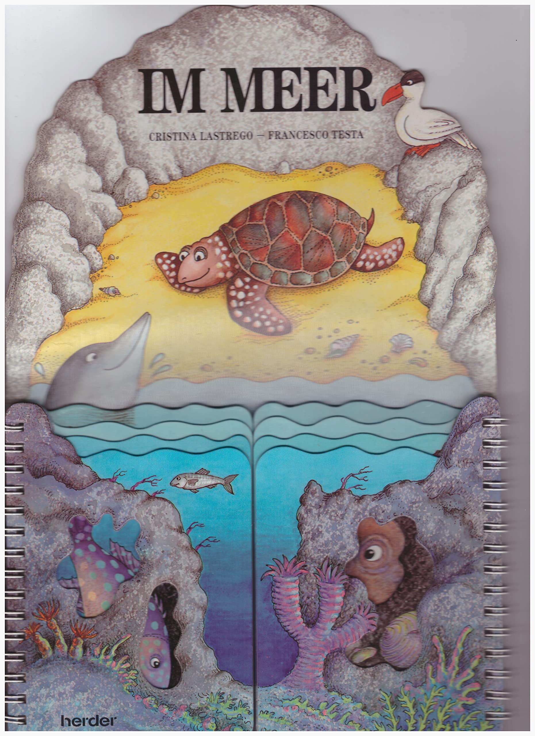 Bücher mit Durchblick / Im Meer: Im Garten /Im Teich /Im Meer /In der Höhle (Bücher mit Durchblick: Im Garten /Im Teich /Im Meer /In der Höhle) Books