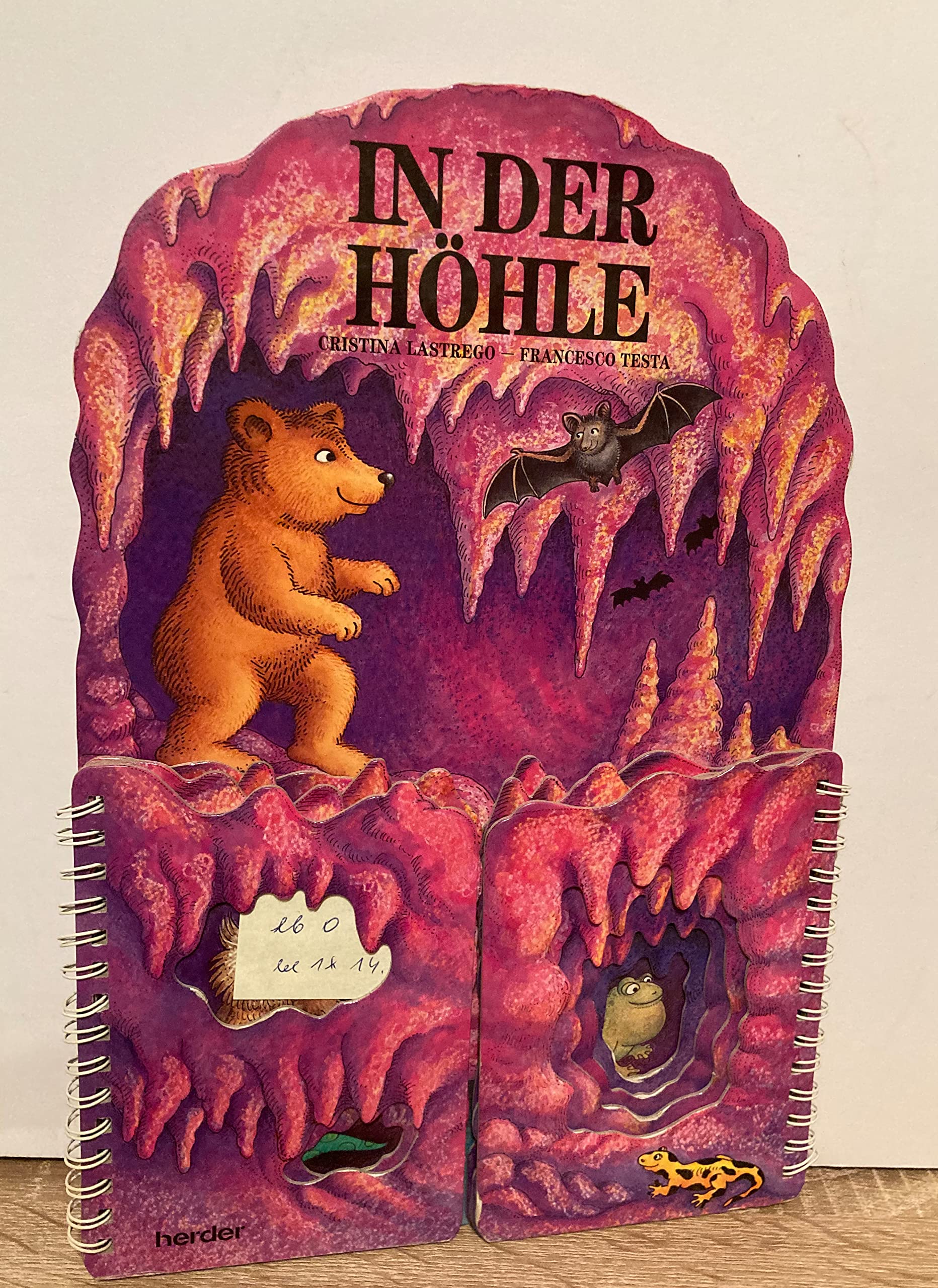 Bücher mit Durchblick / In der Höhle: Im Garten /Im Teich /Im Meer /In der Höhle (Bücher mit Durchblick: Im Garten /Im Teich /Im Meer /In der Höhle) Books