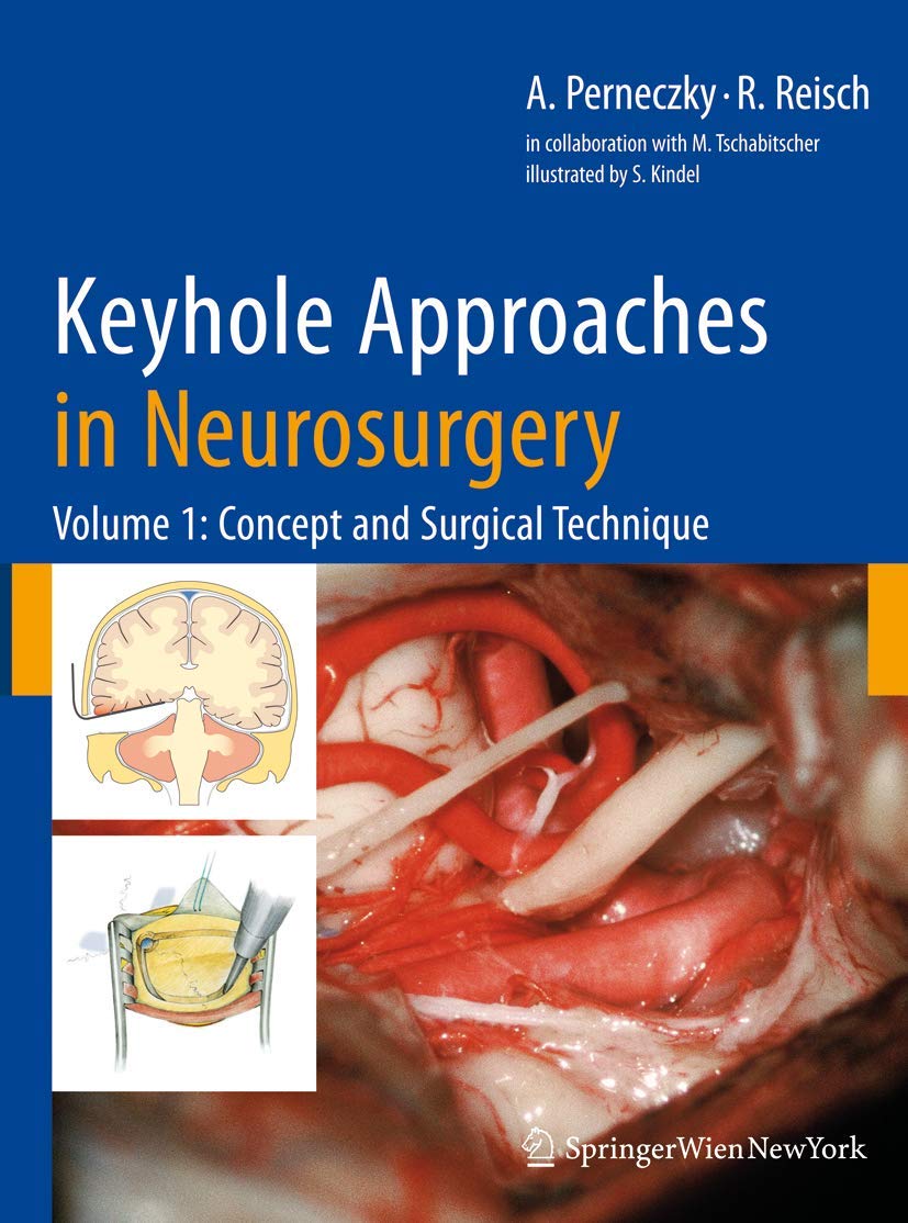 Keyhole Approaches in Neurosurgery Volume 1: Concept and Surgical Technique Medicine