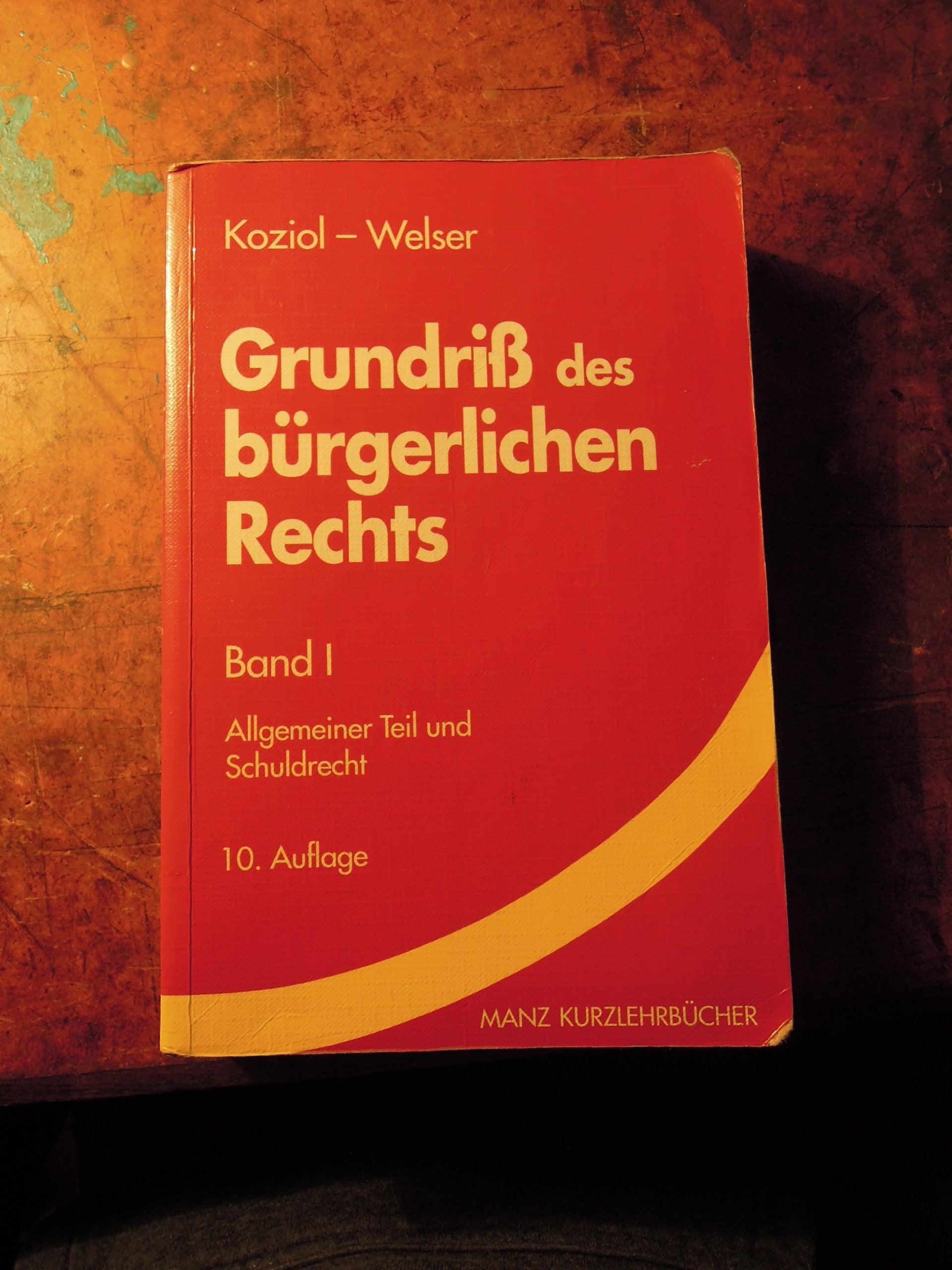 Grundriss des bürgerlichen Rechts: Allgemeiner Teil und Schuldrecht (Manz Kurzlehrbuch) Law