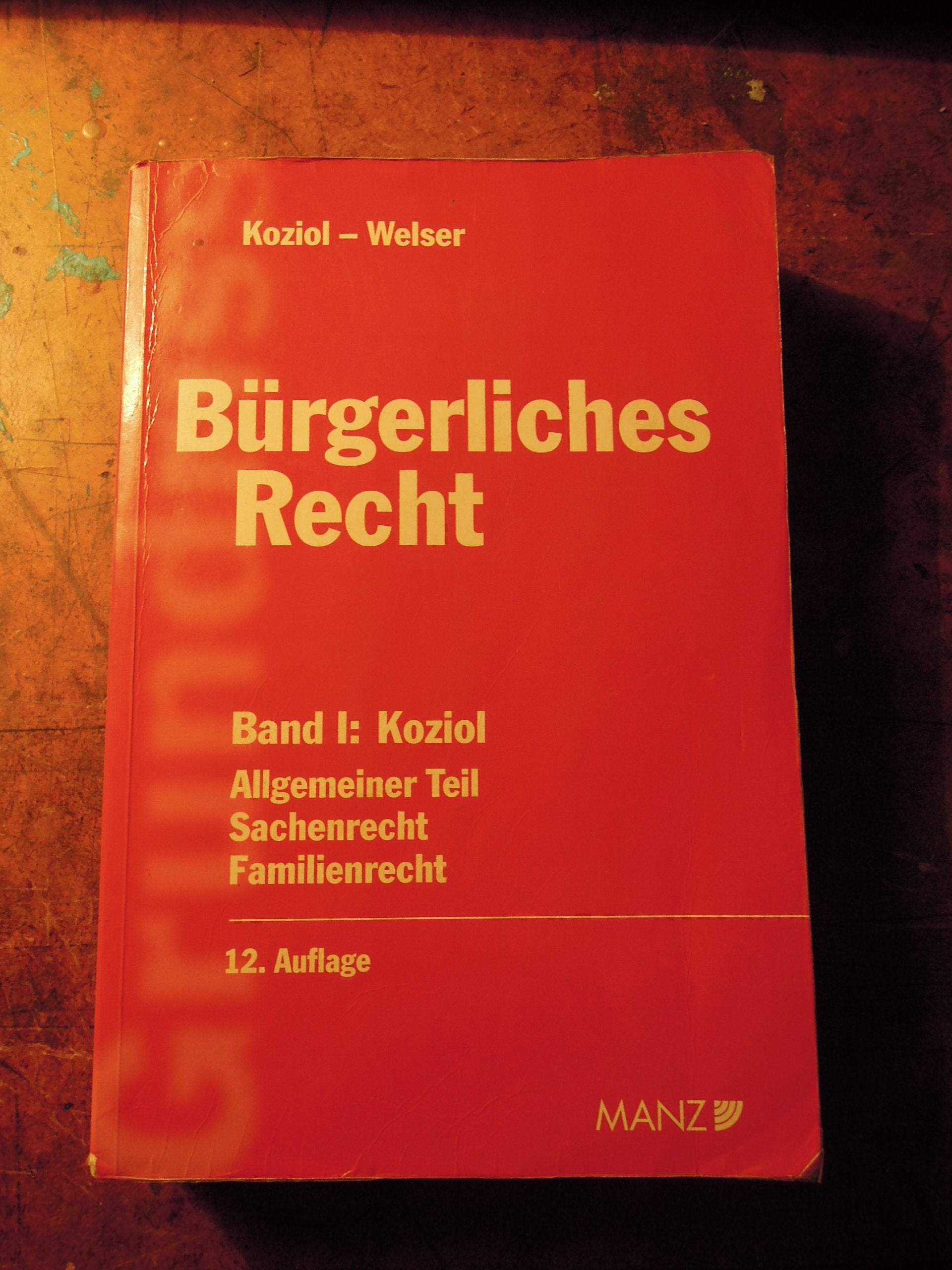 Grundriss des bürgerlichen Rechts: Allgemeiner Teil, Sachenrecht, Familienrecht Law