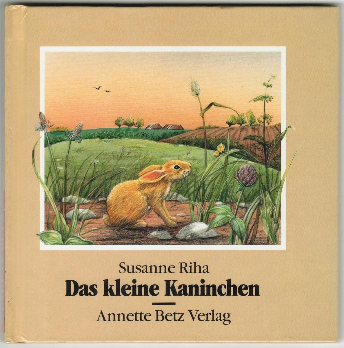 Das kleine Kaninchen Books