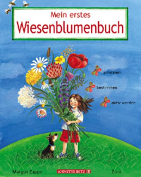 Mein erstes Wiesenblumenbuch Non-fiction