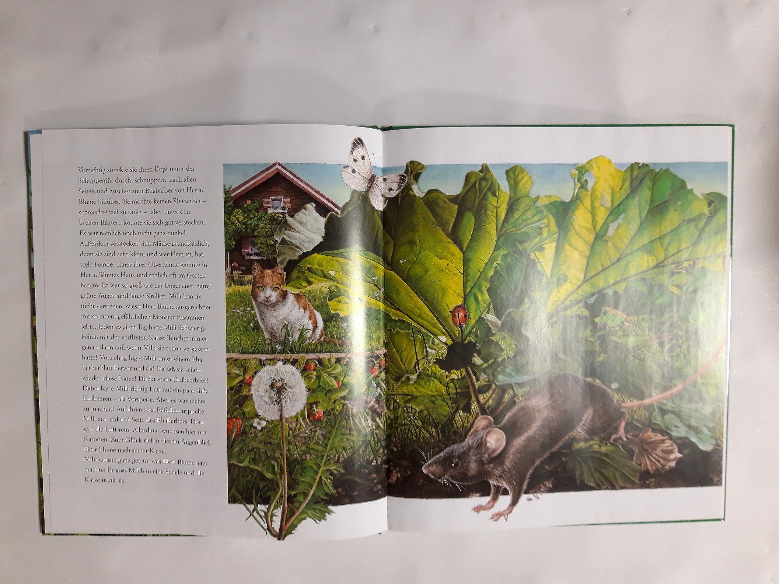 Product Image: Milli, die Maus