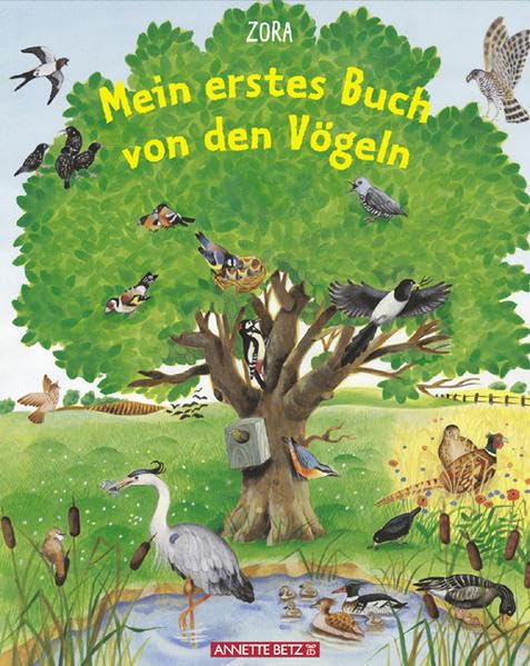 Mein erstes Buch von den Vögeln Non-fiction