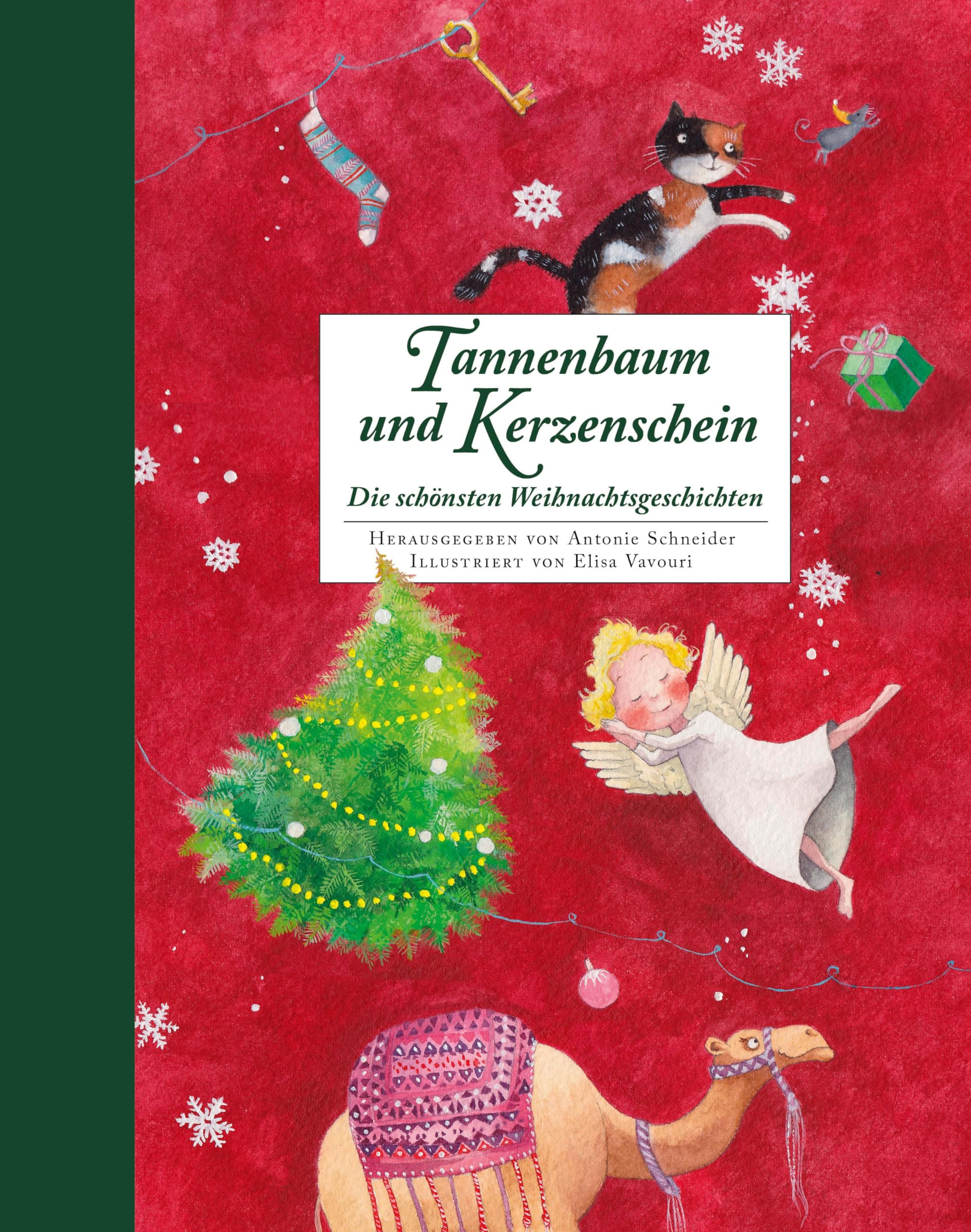 Tannenbaum und Kerzenschein Non-fiction