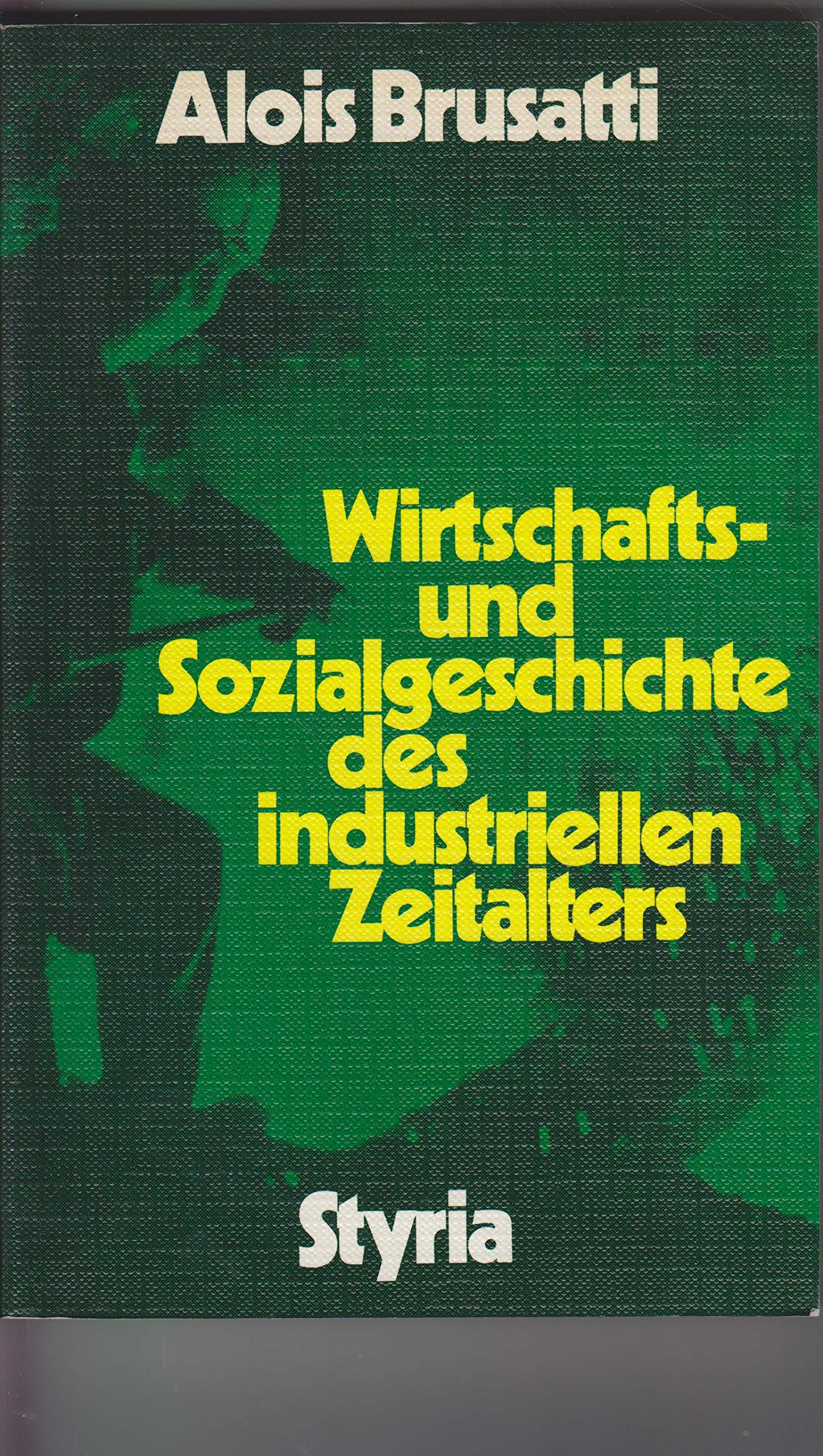 Wirtschafts- und Sozialgeschichte des industriellen Zeitalters book