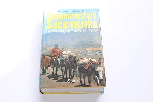 Spannungsfeld Sudamerika: Forschungen, Fakten, Fragen (German Edition) Books