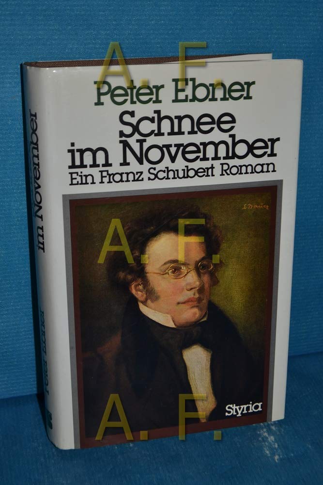 Schnee im November: Ein Franz-Schubert-Roman. Mit e. Vorw. v. Hermann Prey Arts & Music
