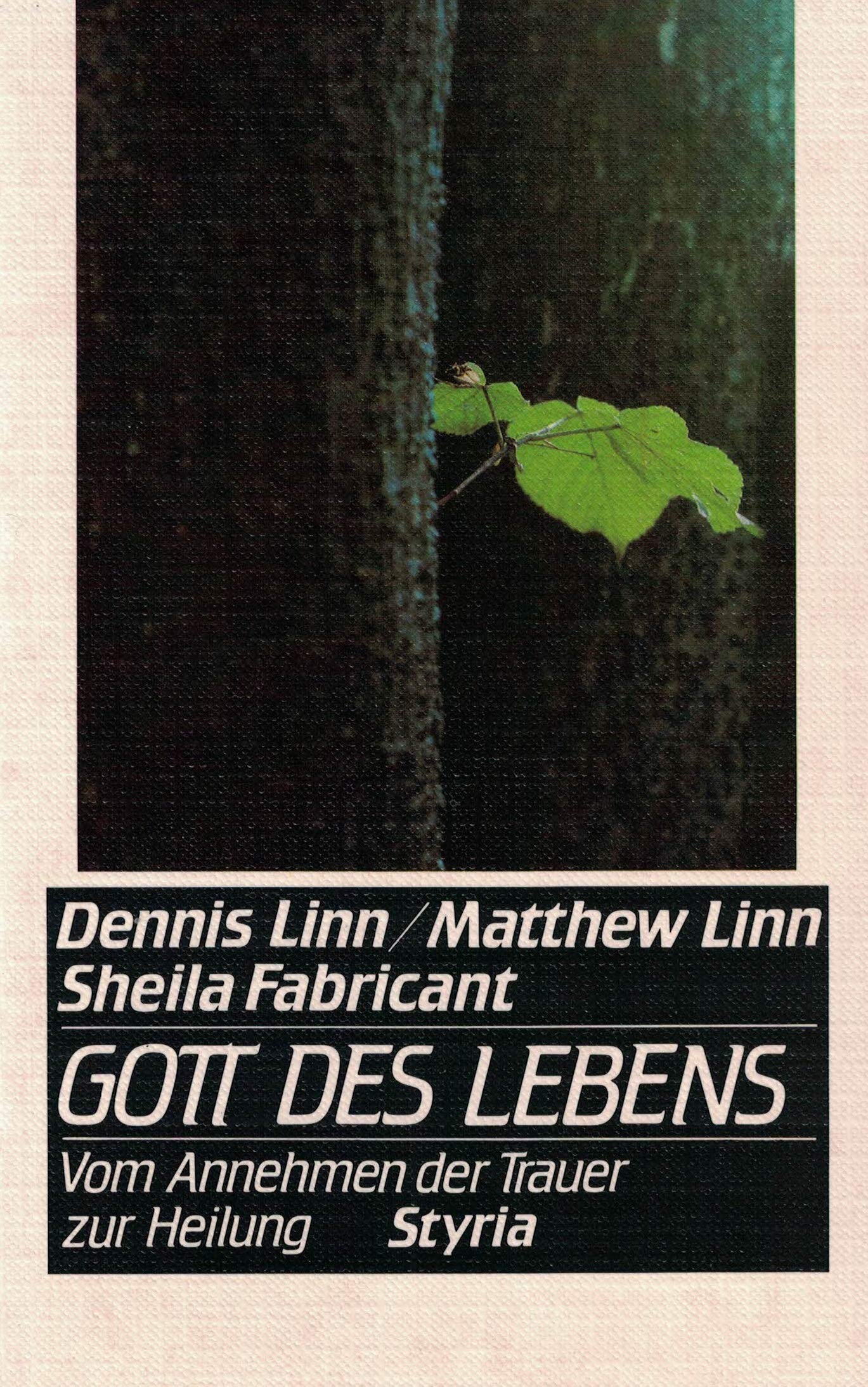 Gott des Lebens - Vom Annehmen der Trauer zur Heilung Books