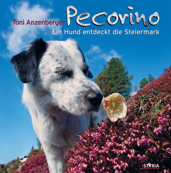 Pecorino, Ein Hund entdeckt die Steiermark Leisure, Home & Garden