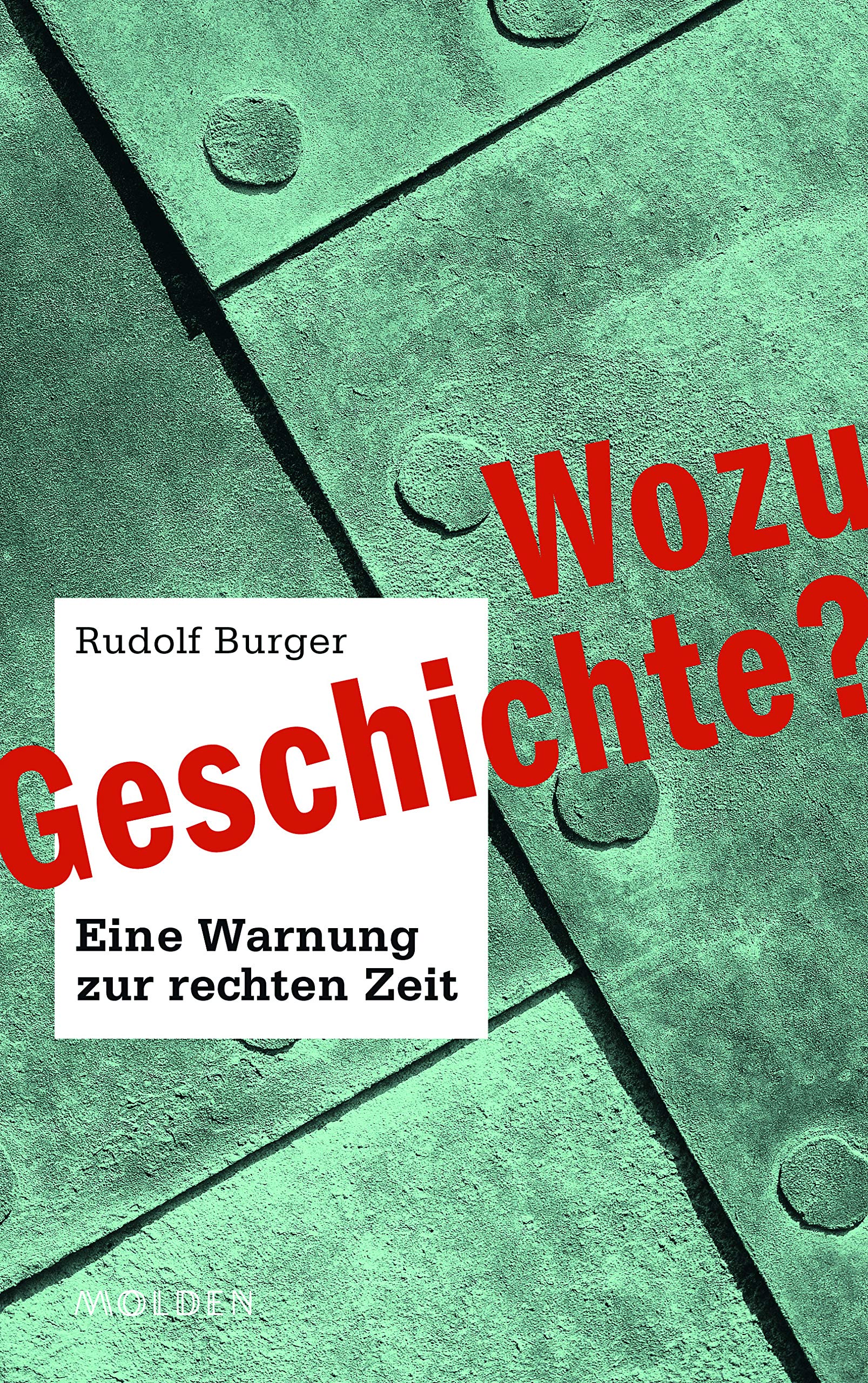 Wozu Gechichte?: Eine Warnung zur rechten Zeit Politics & History