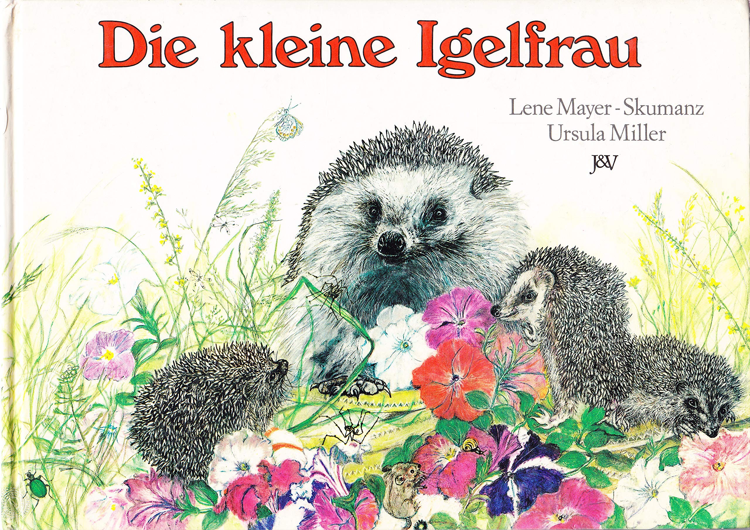 Product Image: Die kleine Igelfrau