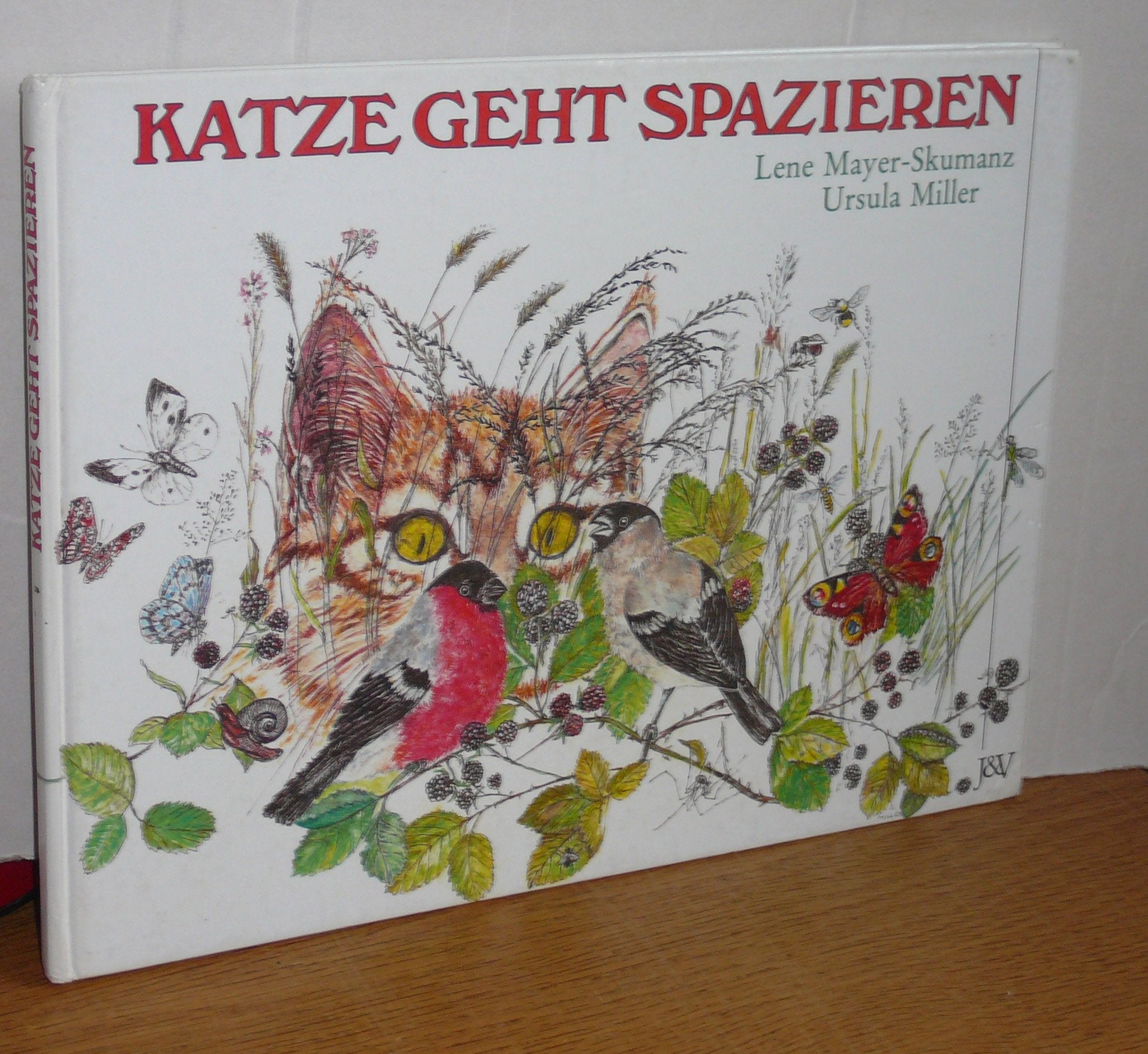 Katze geht spazieren Books