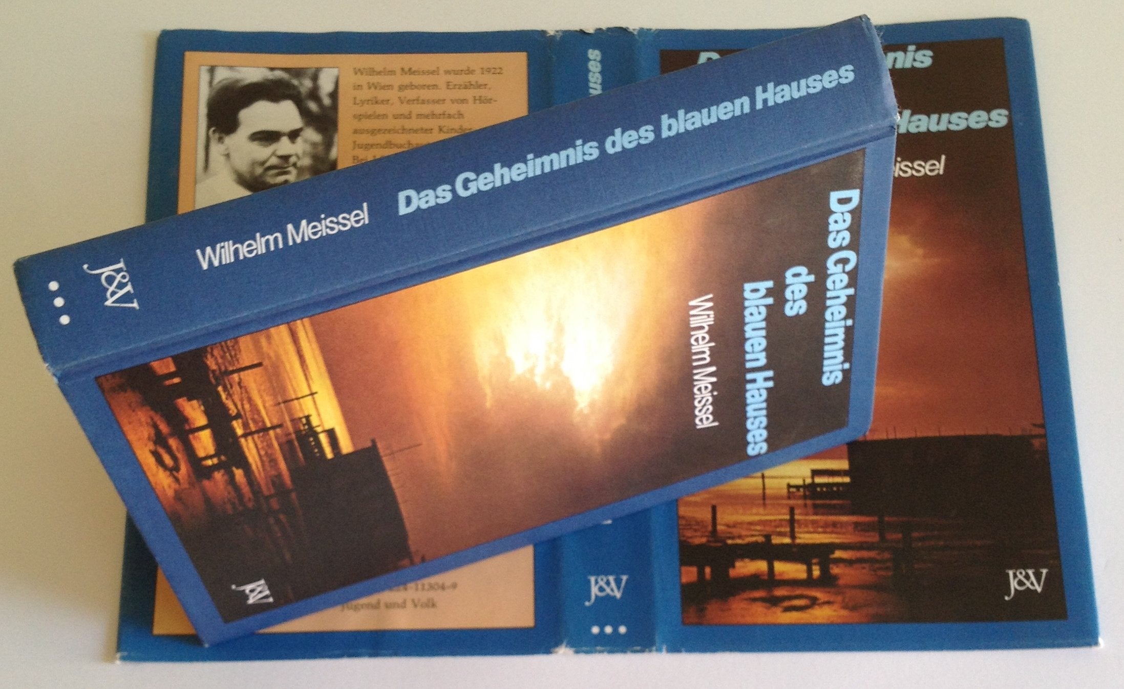 Das Geheimnis des blauen Hauses Books