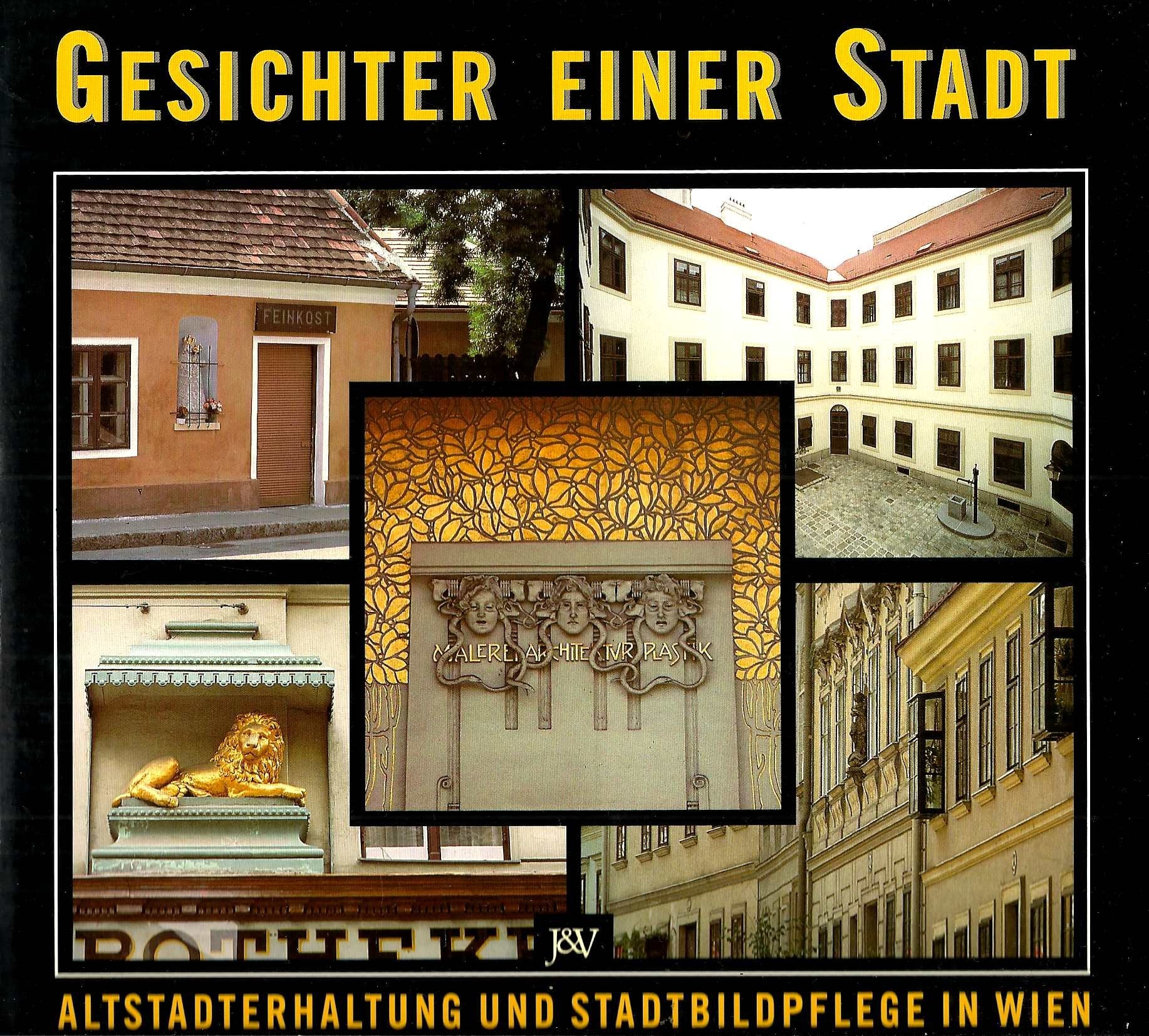 Gesichter einer Stadt. Altstadterhaltung und Stadtbildpflege in Wien Books