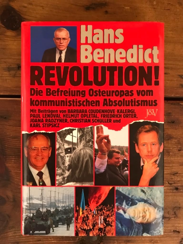 Revolution Politics & History