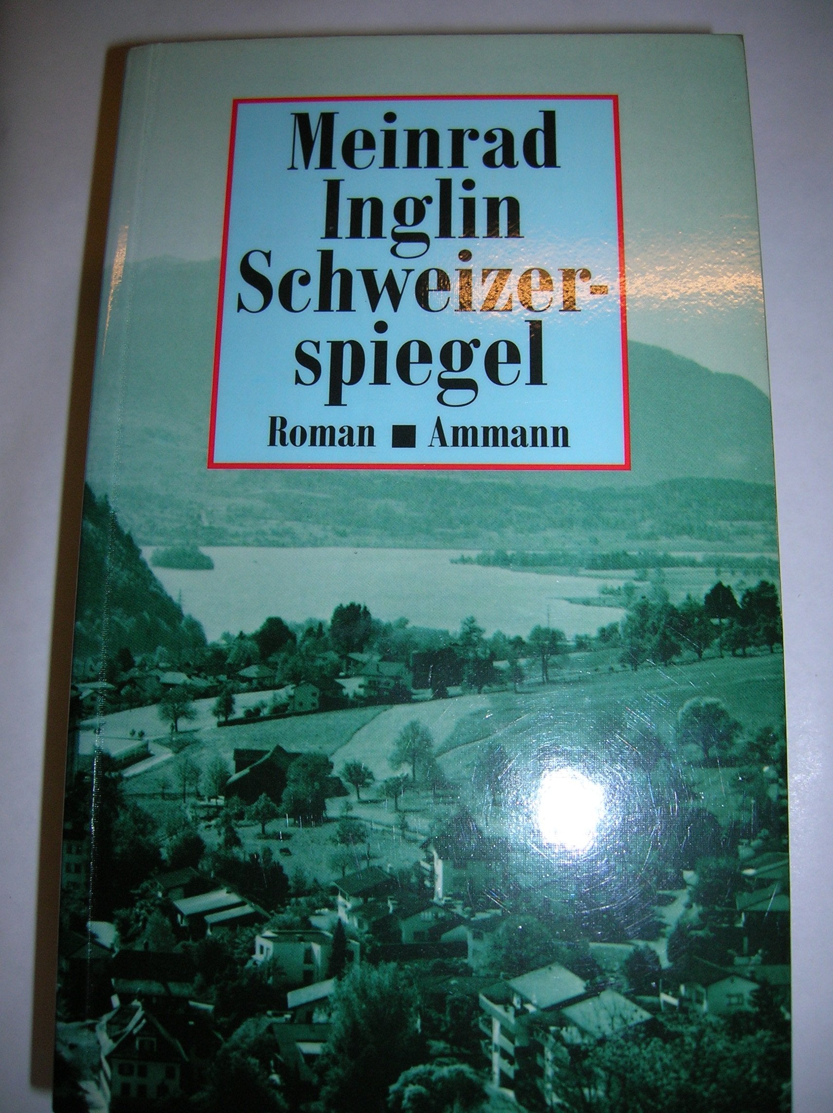 Gesammelte Werke in Einzelausgaben / Schweizerspiegel: Roman Classics