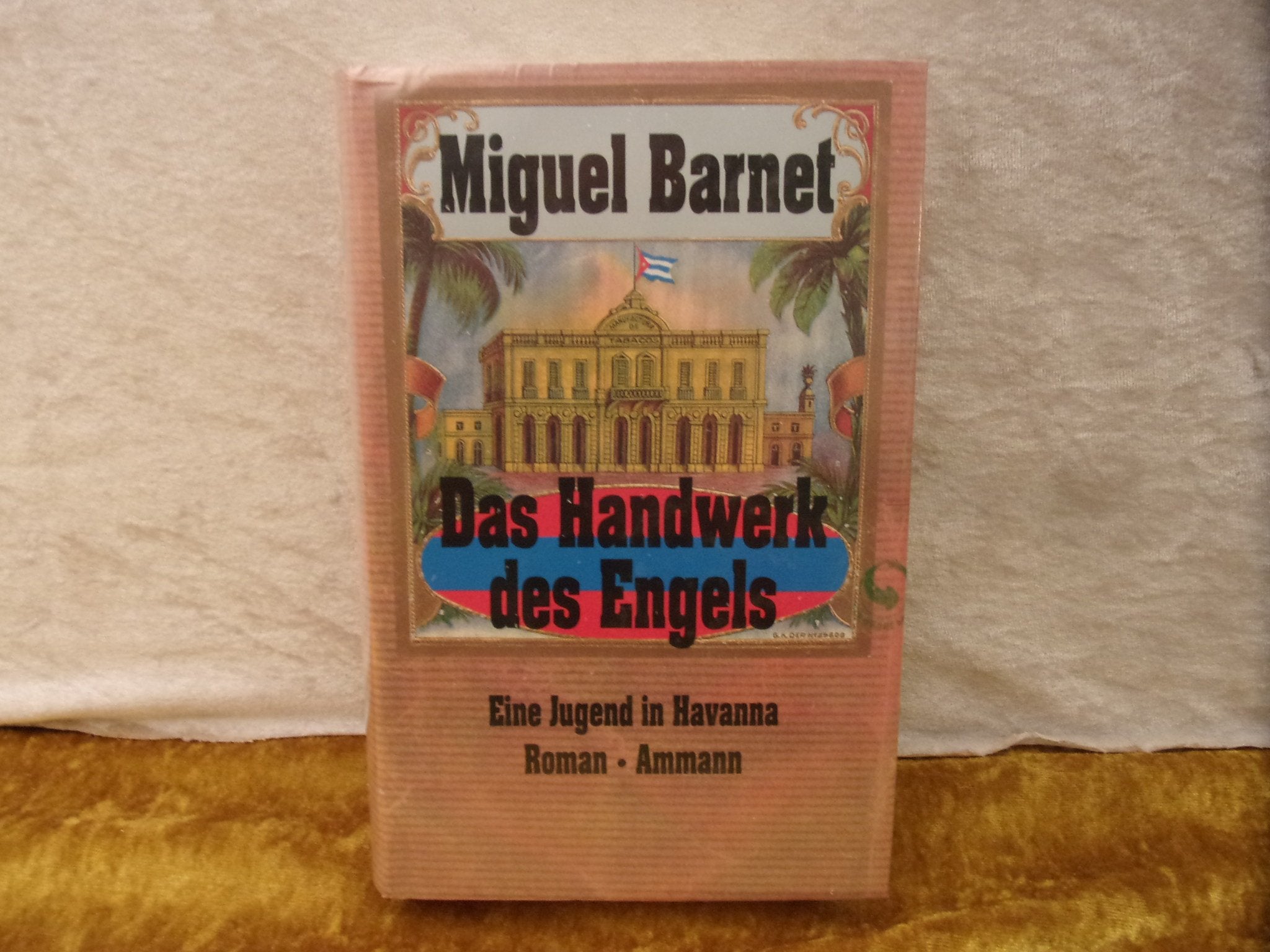 Das Handwerk des Engels. Eine Jugend in Havanna. Roman Books