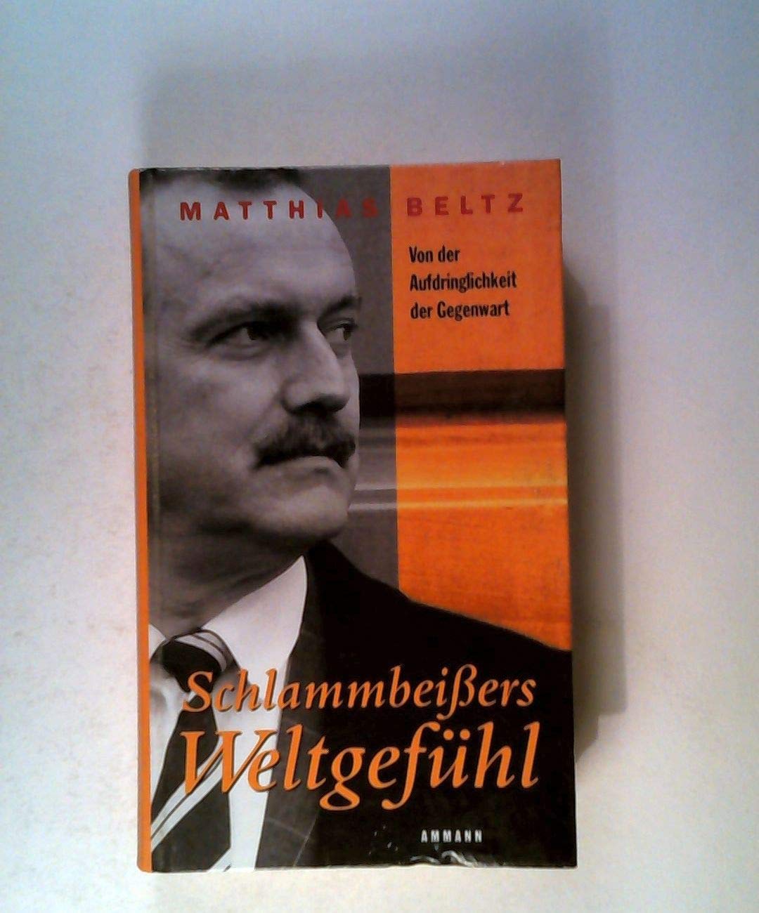 Schlammbeißers Weltgefühl. Von der Aufdringlichkeit der Gegenwart Memories