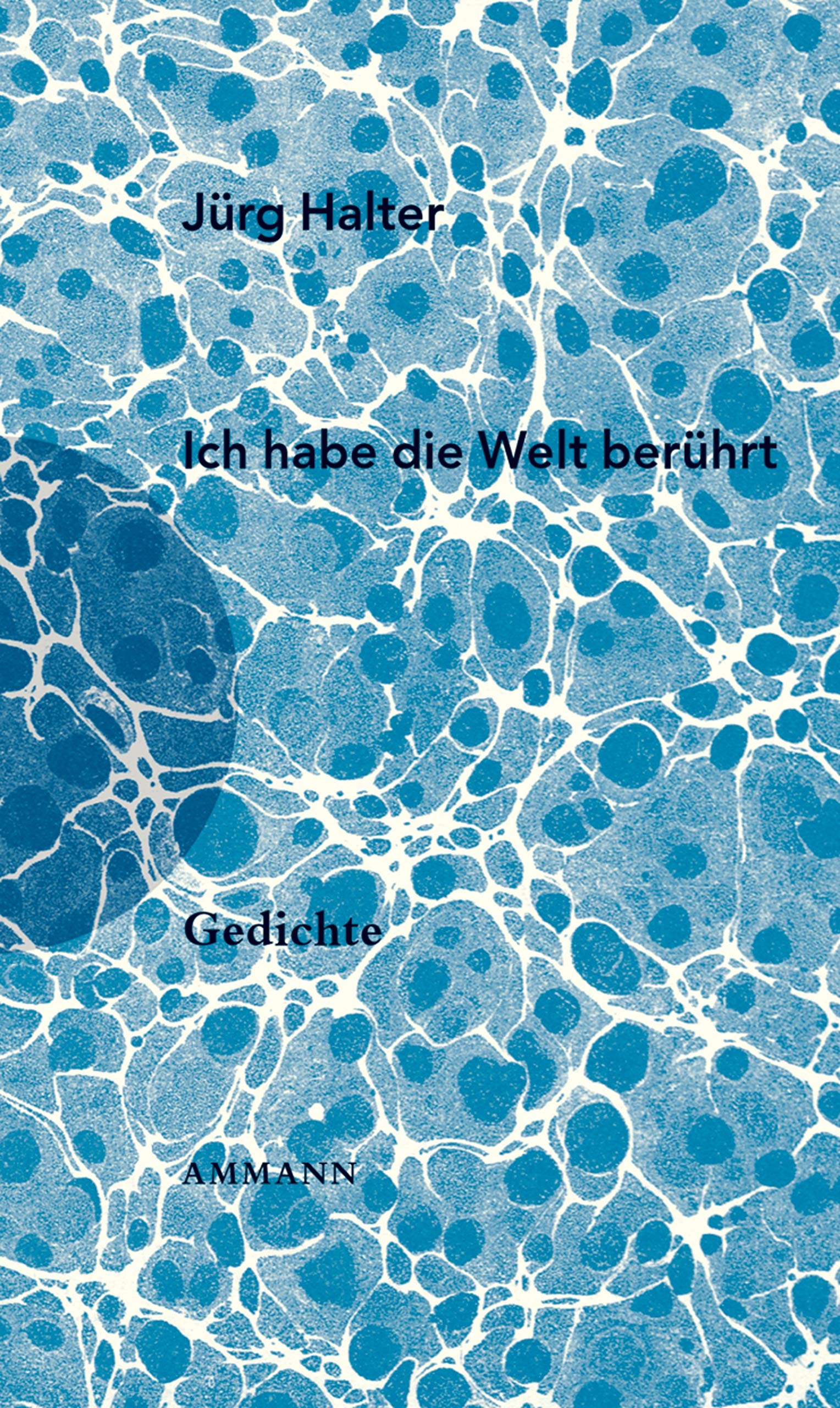 Ich habe die Welt berührt: Gedichte Poetry