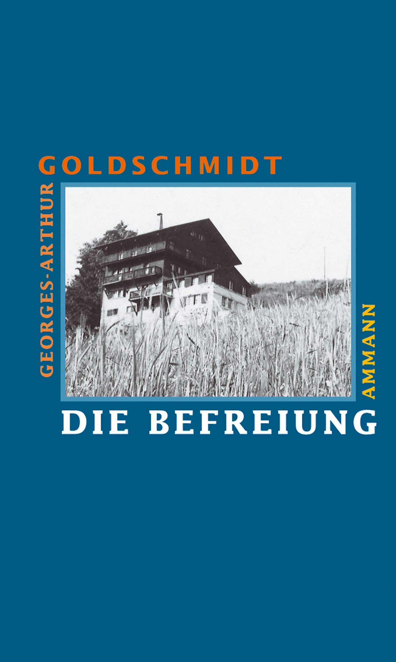 Die Befreiung: Erzählung Contemporary literature