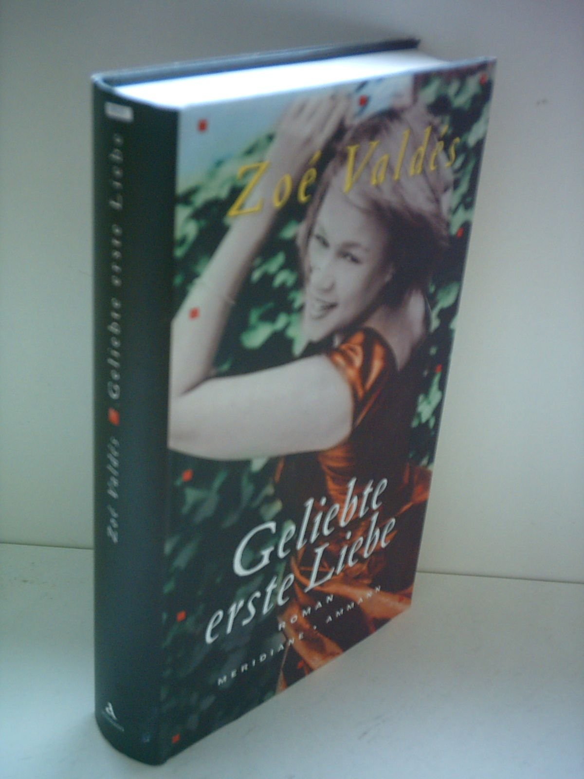 Geliebte erste Liebe: Roman Contemporary literature