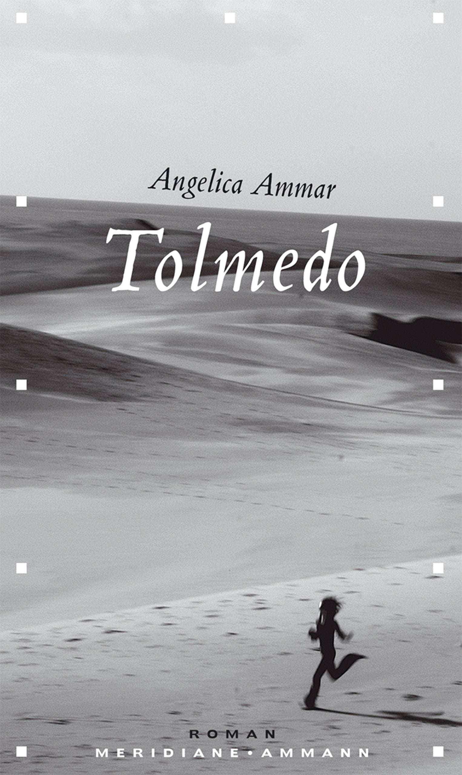 Tolmedo: Roman: Roman. Ausgezeichnet mit dem Literaturpreis der Jürgen Ponto-Stiftung 2006 Contemporary literature Books