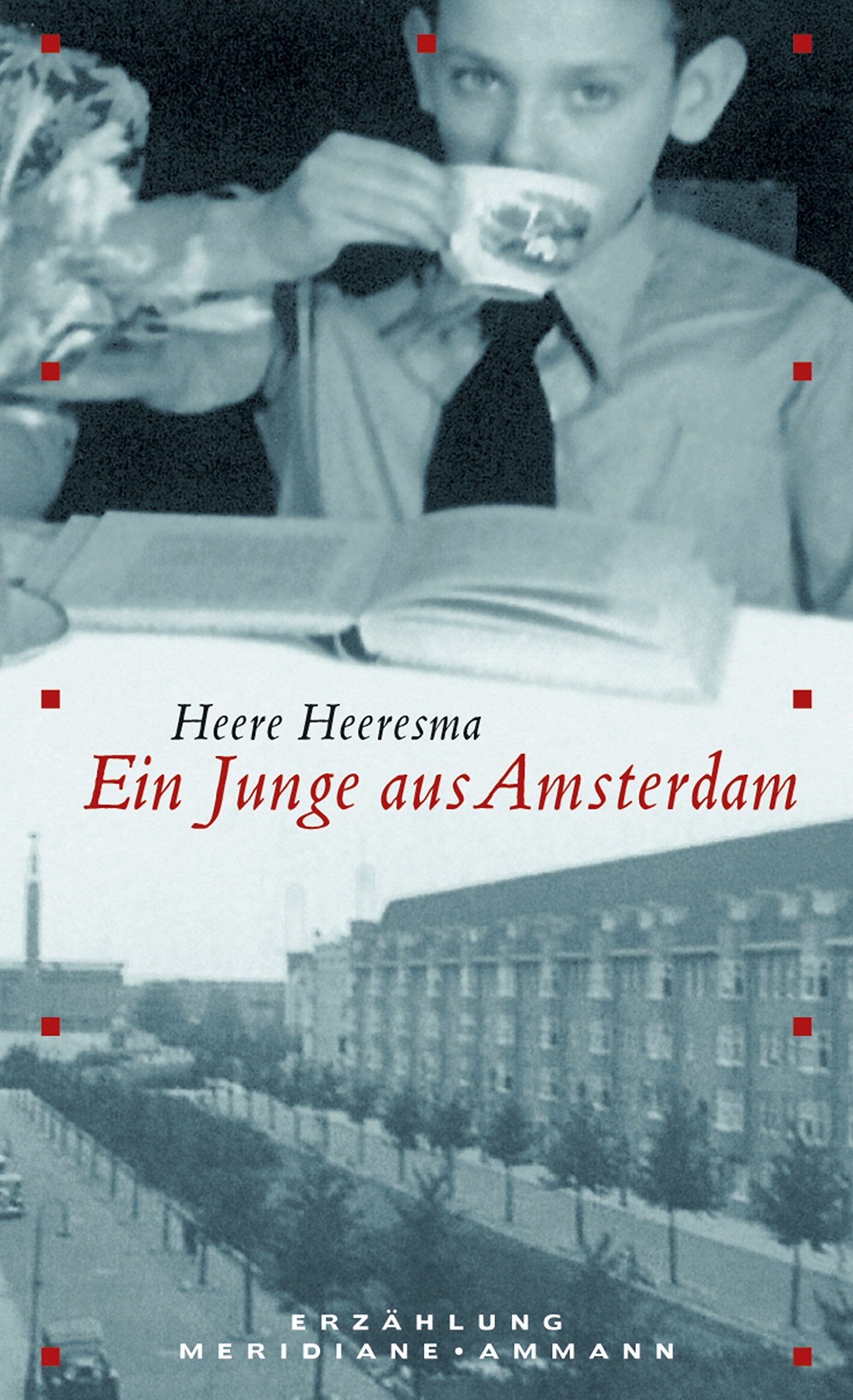 Ein Junge aus Amsterdam: Roman (Meridiane Bd. 103) Contemporary literature