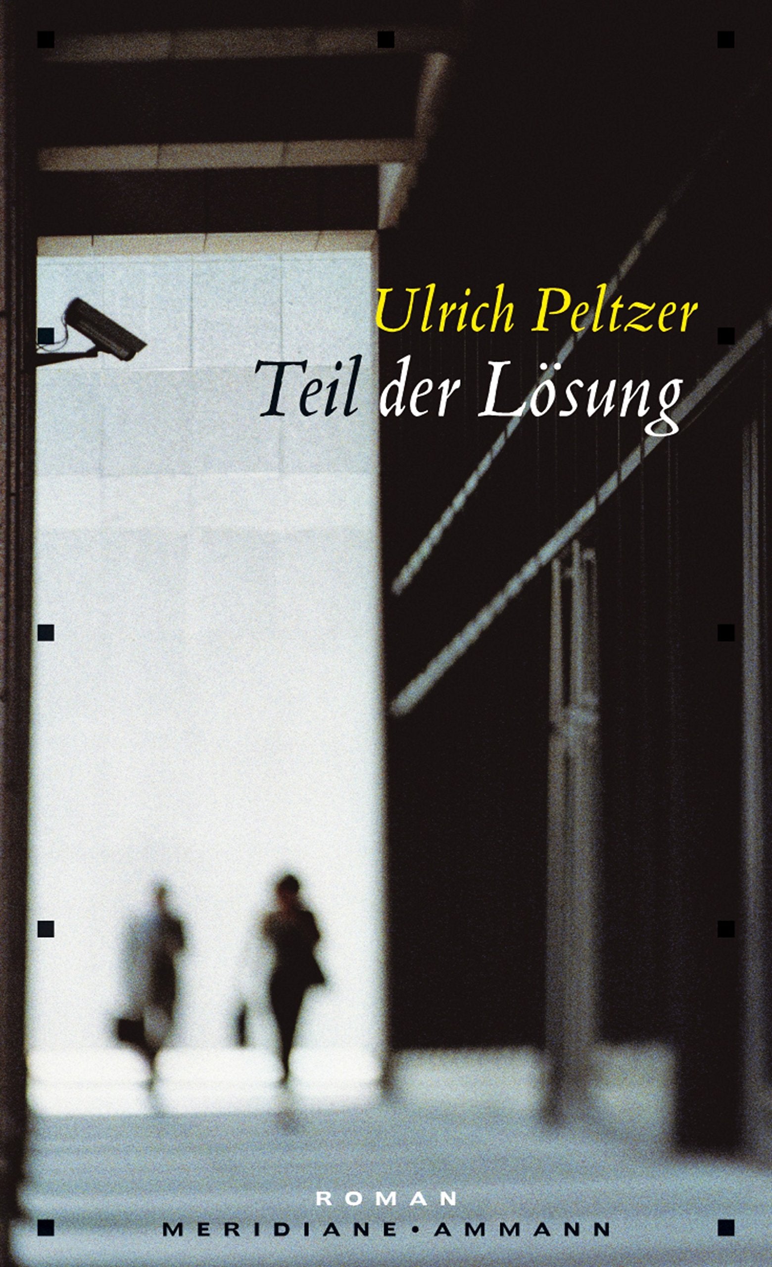 Teil der Lösung: Roman Contemporary literature