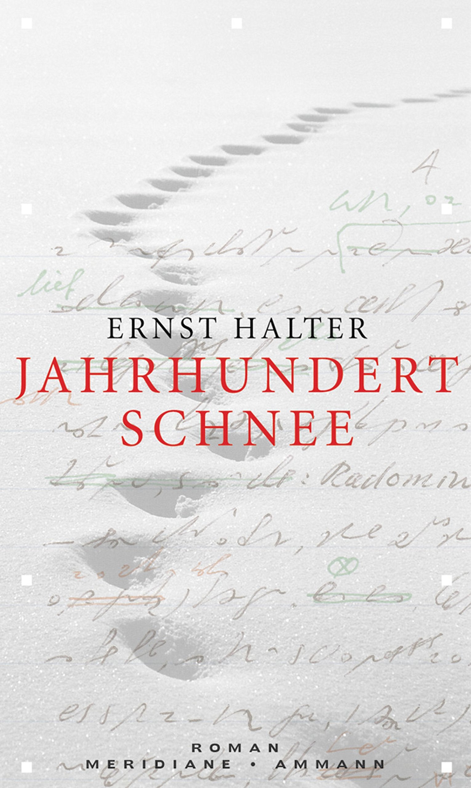 Jahrhundertschnee: Roman Contemporary literature Books