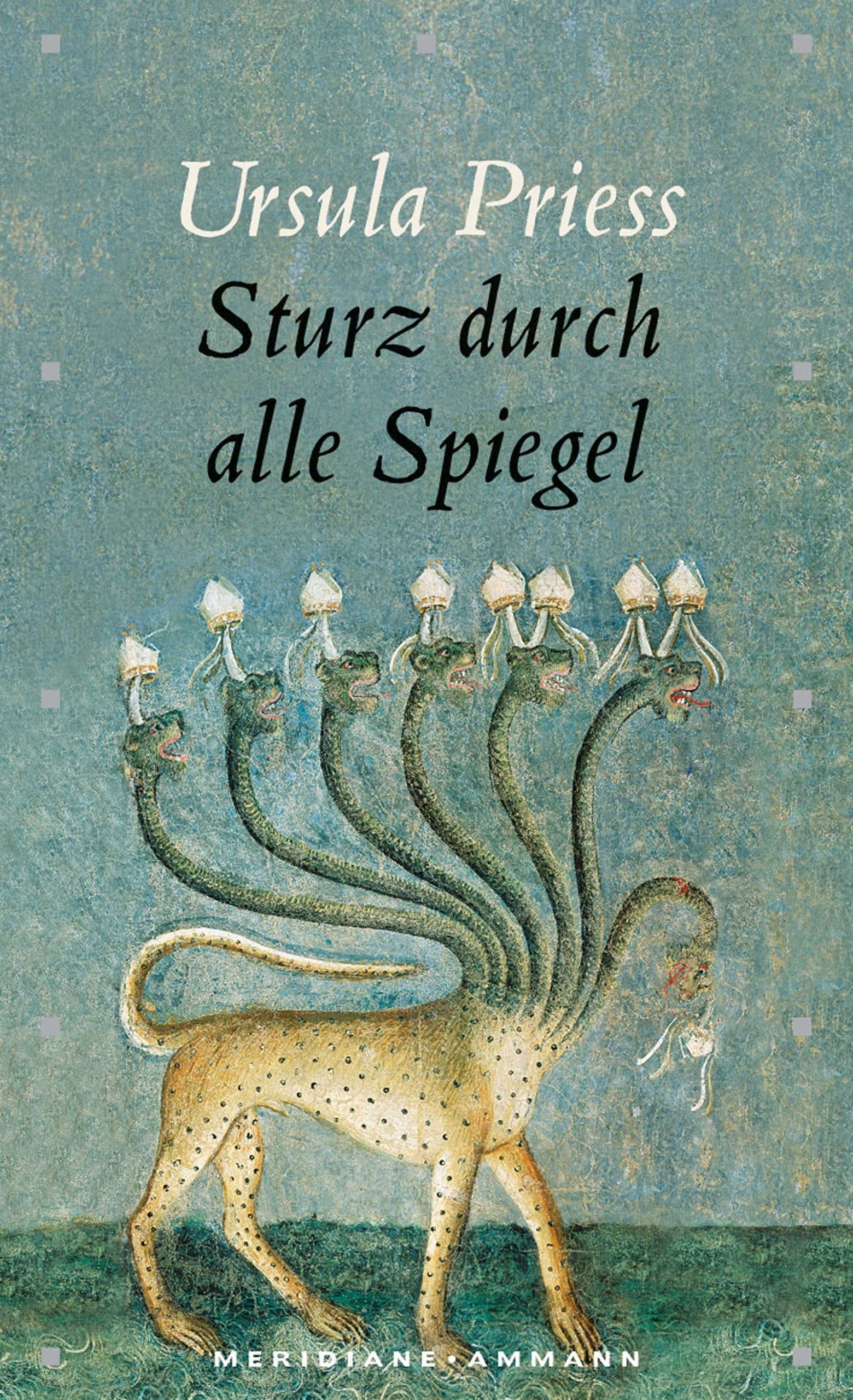 Sturz durch alle Spiegel: Eine Bestandsaufnahme (Meridiane) Contemporary literature