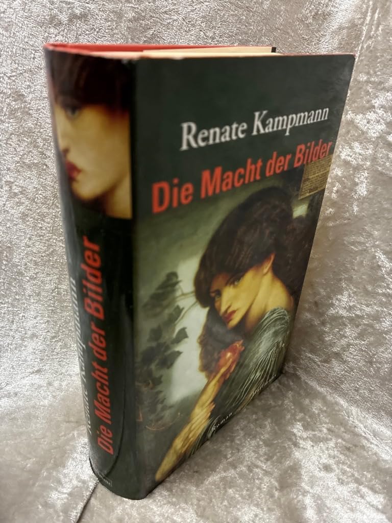 Die Macht der Bilder: Roman Contemporary literature