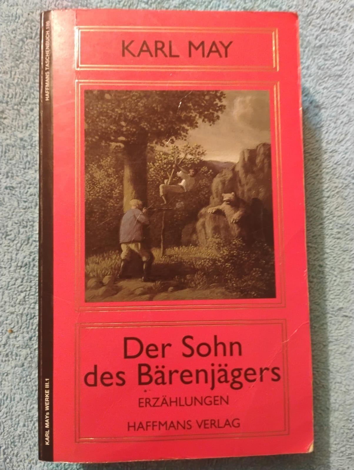 Der Sohn des Bärenjägers: Abt. III: Erzählungen für die Jugend Books