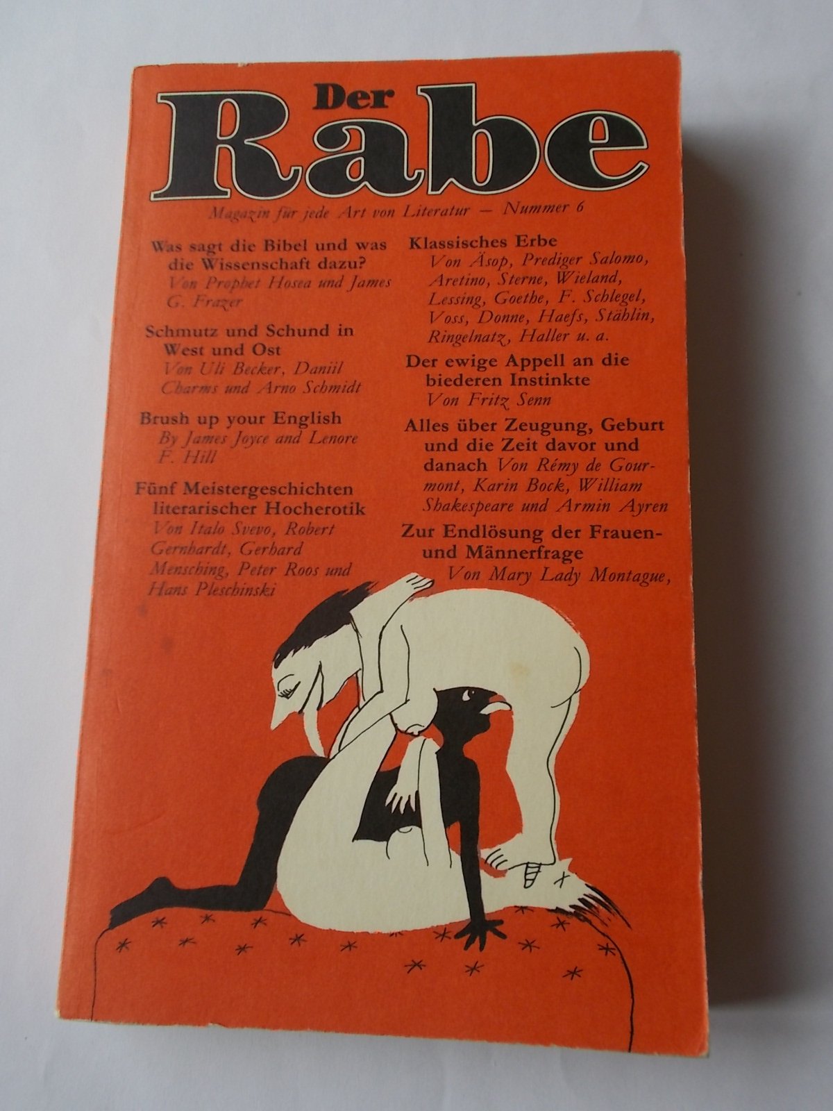 Der Rabe VI. Magazin für jede Art von Literatur book