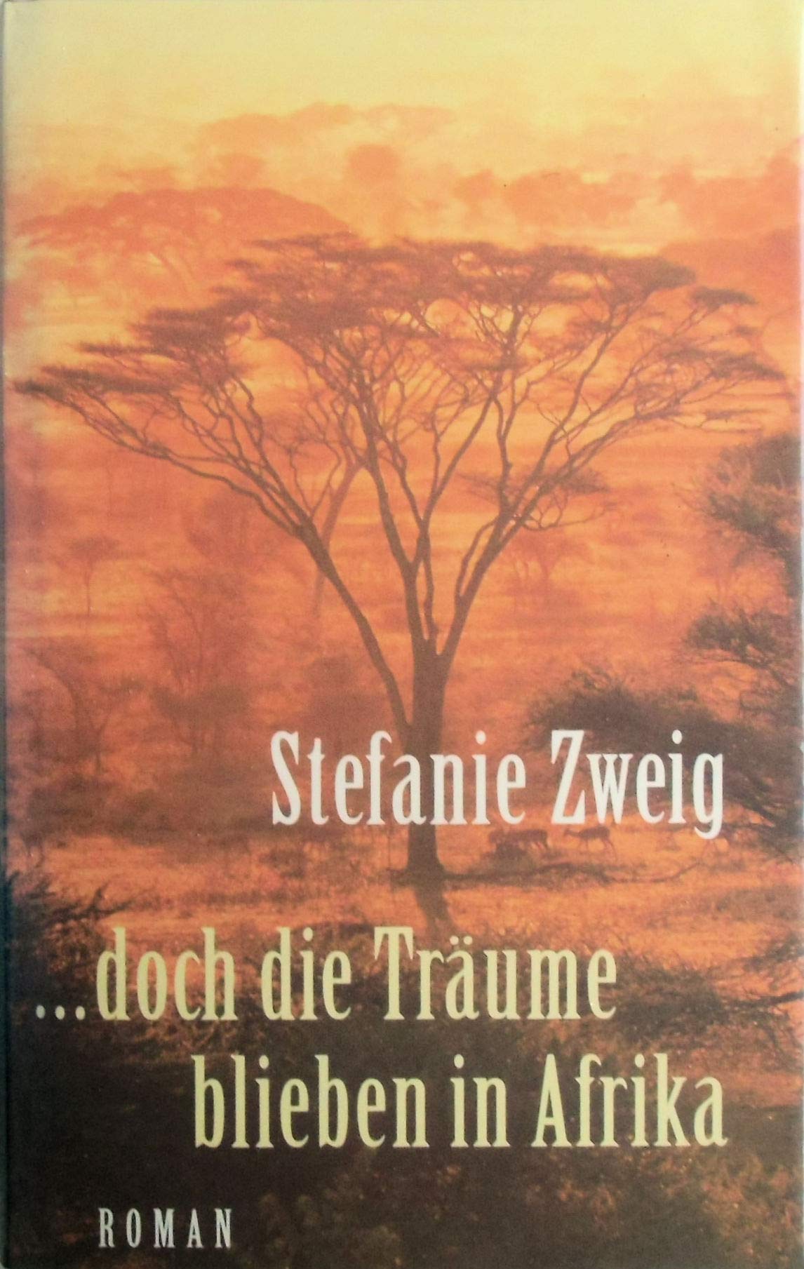 ... doch die Träume blieben in Afrika, Roman, Contemporary literature
