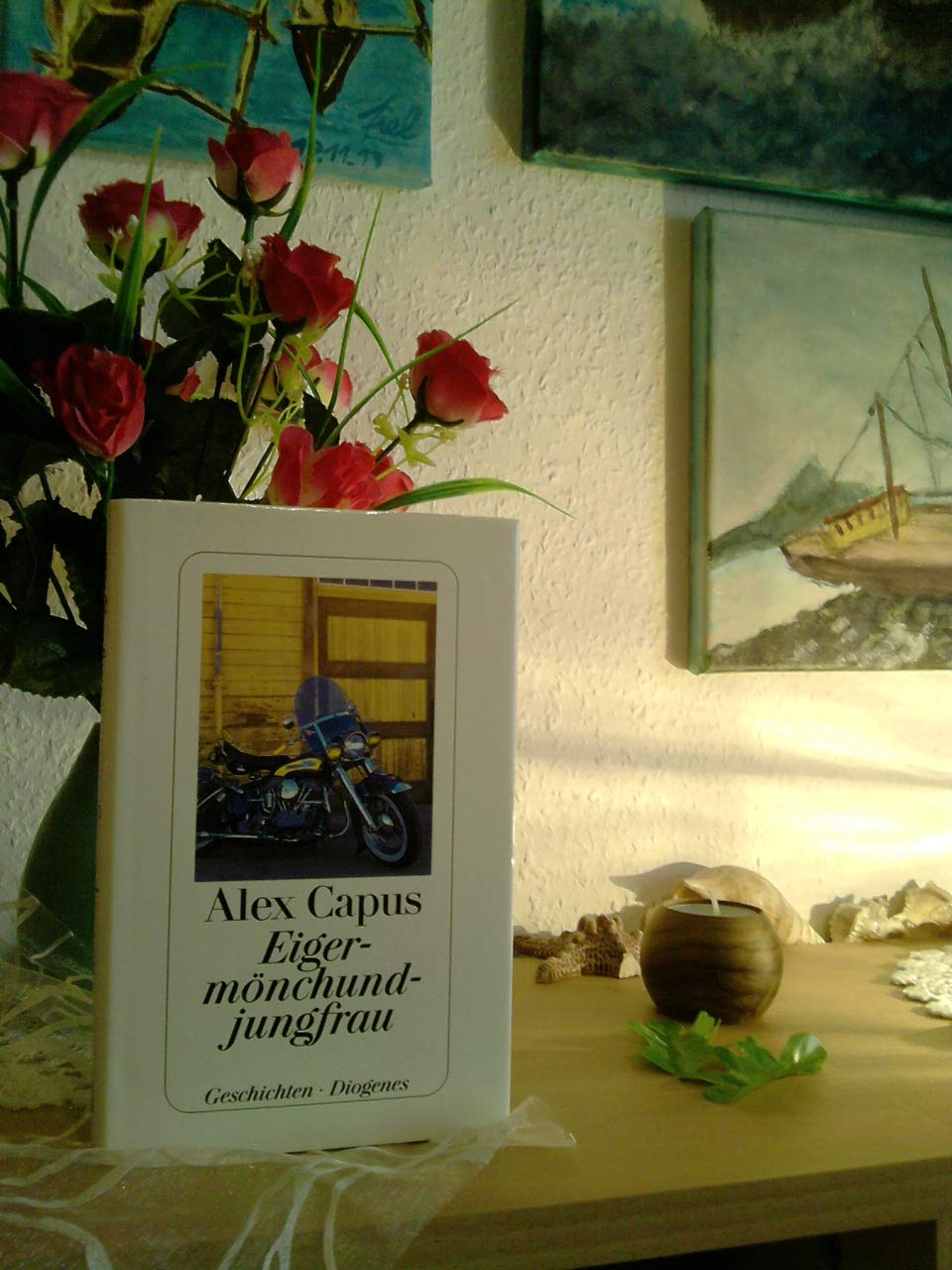 Eigermönchundjungfrau: Geschichten Contemporary literature Books